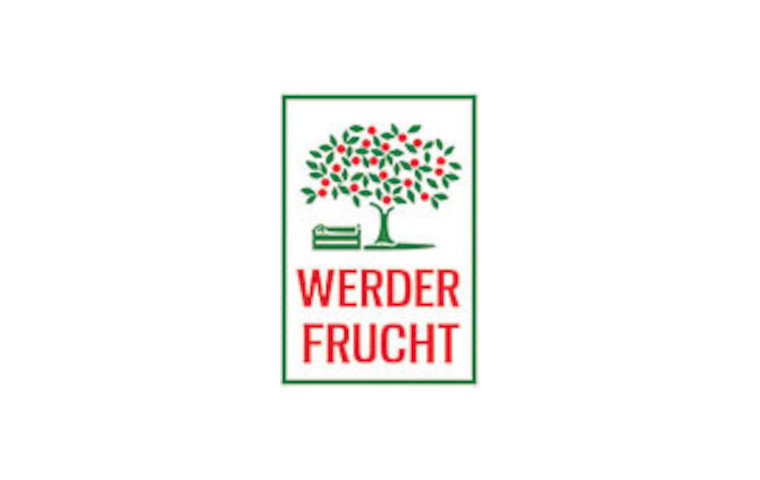 Werder Partner Logo