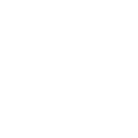 party Icon